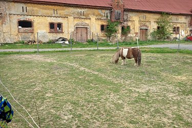 Obrázek č.108