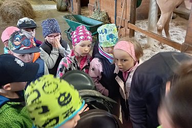 Obrázek č.126