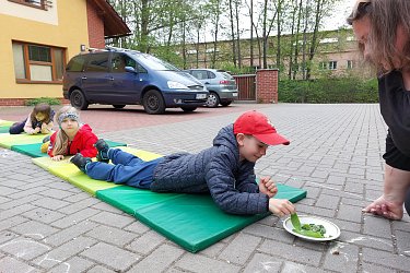 Obrázek č.10