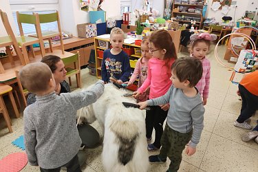 Obrázek č.4