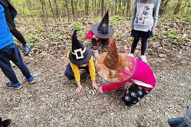 Obrázek č.61
