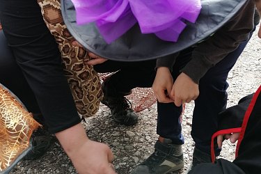 Obrázek č.16