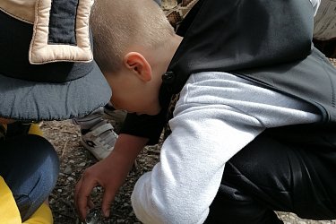 Obrázek č.15