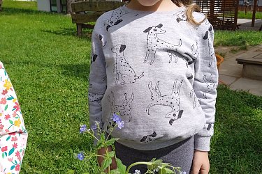 Obrázek č.55