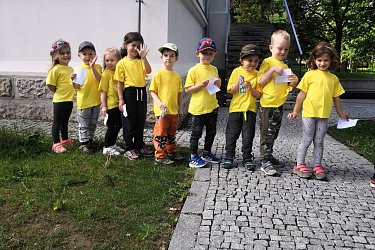 Obrázek č.26