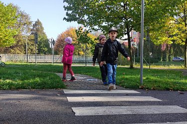 Obrázek č.49