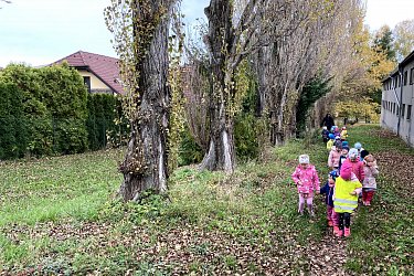 Obrázek č.80