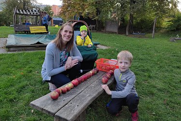 Obrázek č.16