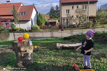 Obrázek č.94
