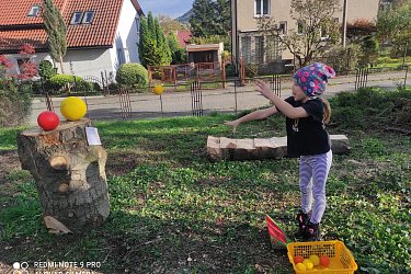 Obrázek č.95