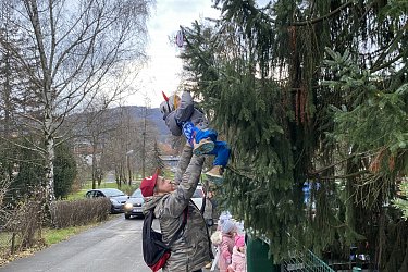 Obrázek č.113