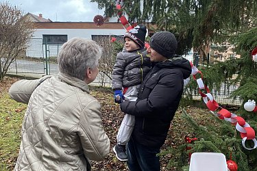 Obrázek č.115