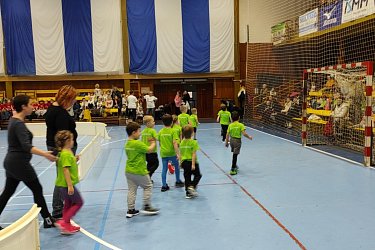 Obrázek č.31