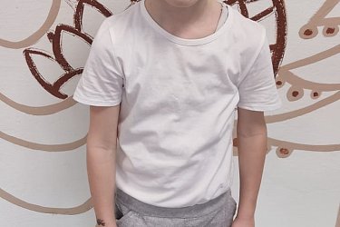 Obrázek č.12