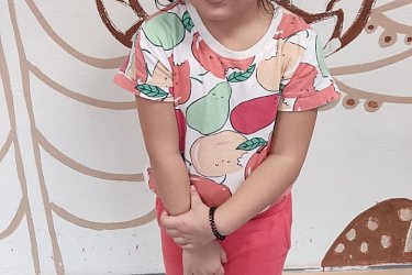 Obrázek č.17