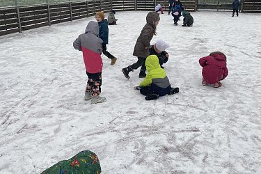 Medvědi a Lišáčci na sněhu