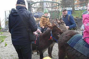 Obrázek č.22