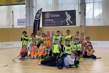Obrázek č.17