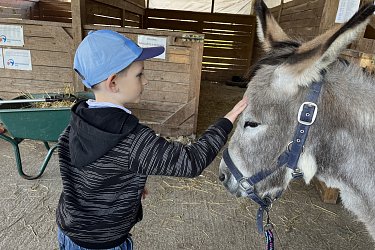 Obrázek č.88
