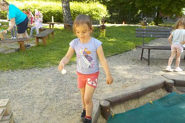 Obrázek č.113