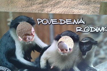 Obrázek č.16