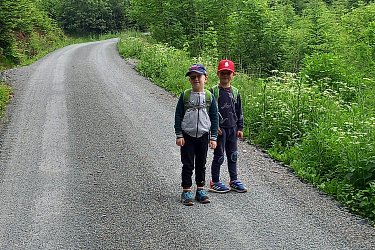 Obrázek č.15