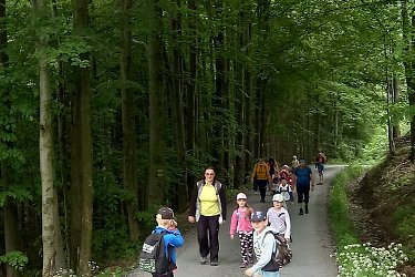 Obrázek č.18