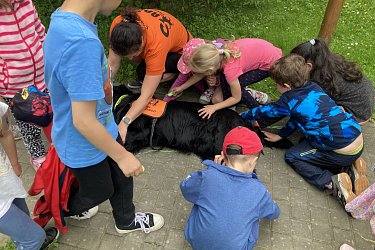 Obrázek č.44