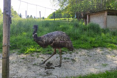 Obrázek č.56