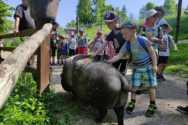 Obrázek č.62