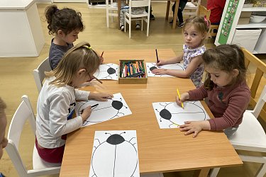 Obrázek č.27