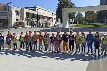 Obrázek č.105