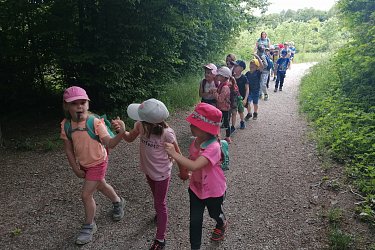 Obrázek č.5
