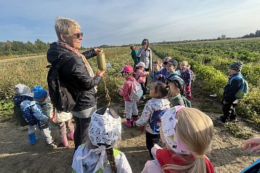 Obrázek č.14