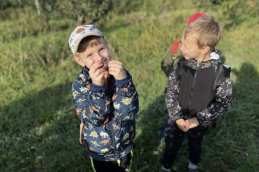 Obrázek č.30
