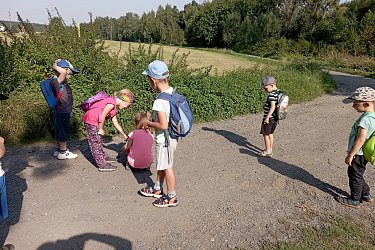 Obrázek č.102