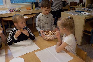 Obrázek č.102