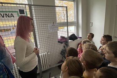 Obrázek č.67