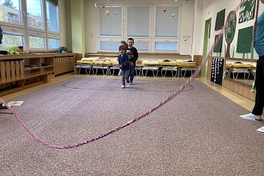 Obrázek č.110
