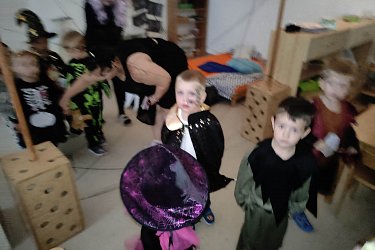 Obrázek č.33