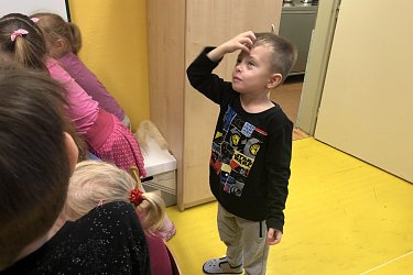 Obrázek č.24