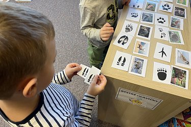 Obrázek č.8