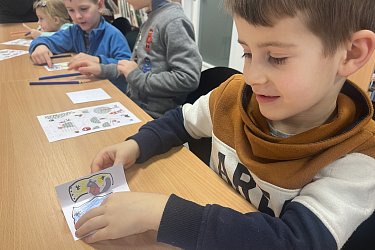 Obrázek č.48