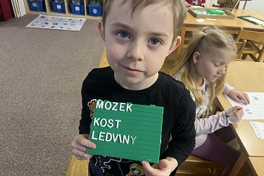 Obrázek č.129