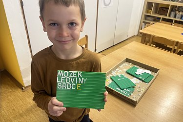 Obrázek č.115