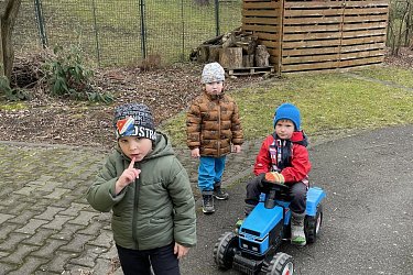 Obrázek č.105