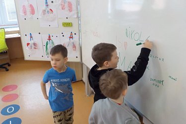 Obrázek č.11