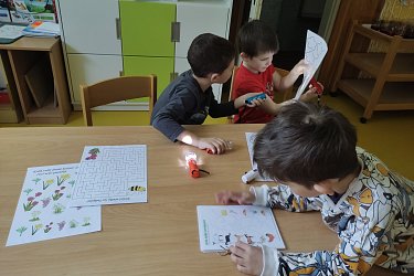Obrázek č.25