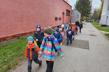 Obrázek č.46