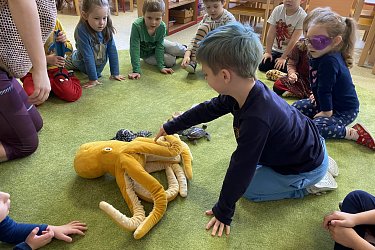 Obrázek č.24